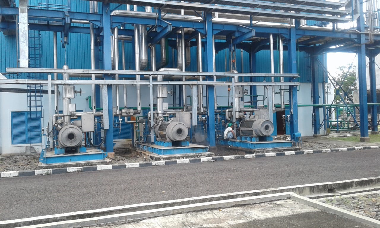 WhatsApp Image 2024-09-26 at 18.40.41